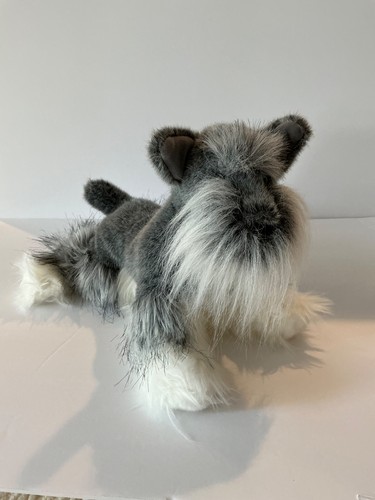 Douglas fritz schnauzer dog - douglas,