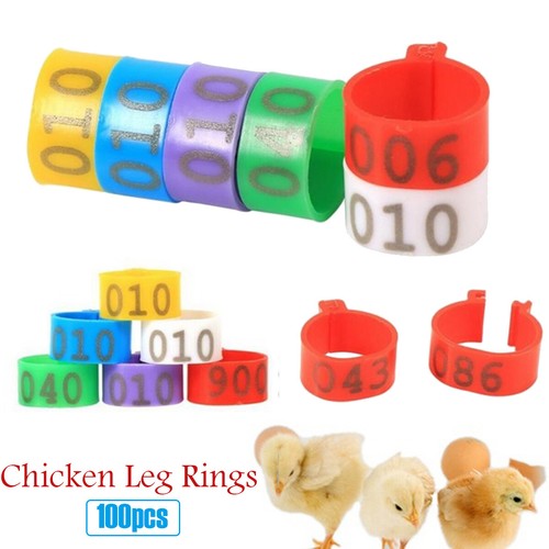 100pcs bird rings leg - 100pcs,