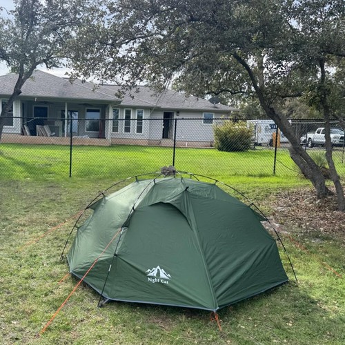 Night cat person - cat, tent