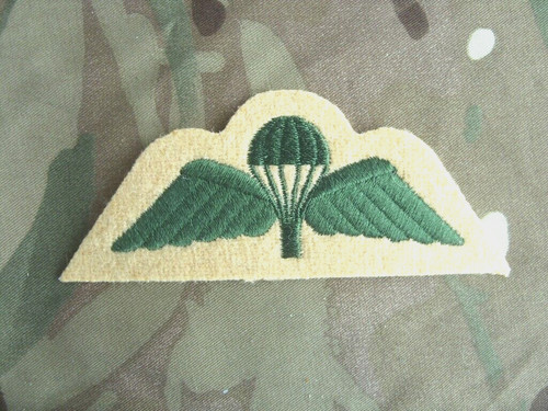 Para wings badge light - wings,