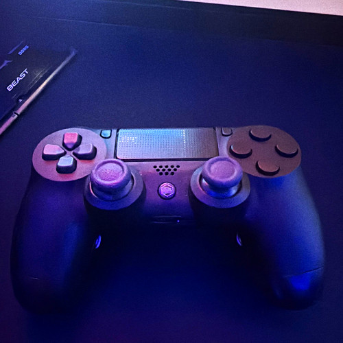 Battle beaver custom ps4 - beaver, 2