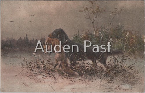 Antique hunting dog with - antique,