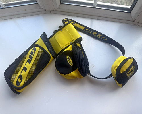 Gillo gold medal - gold, quiver