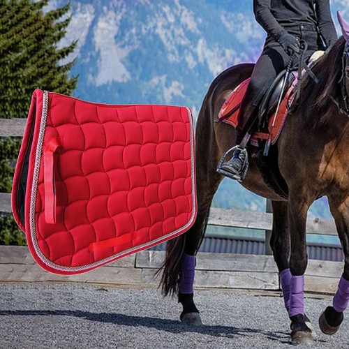 Saddle bags for horses - saddle,