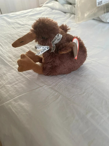 Kiwi bird soft - , toy