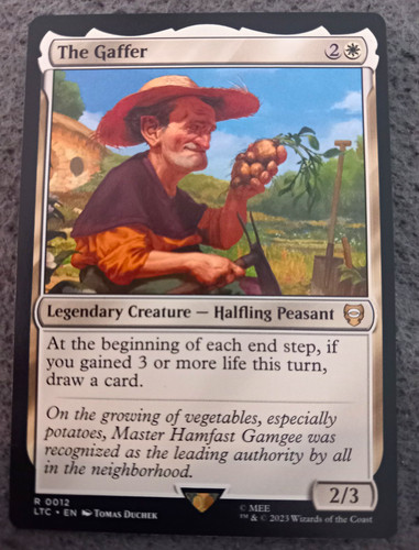Magic the gathering - magic:,