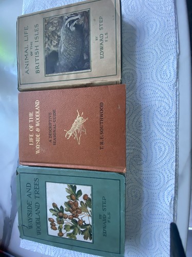 Three wayside and woodland - wayside,