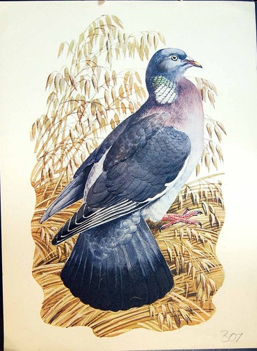 Original old antique - antique, print