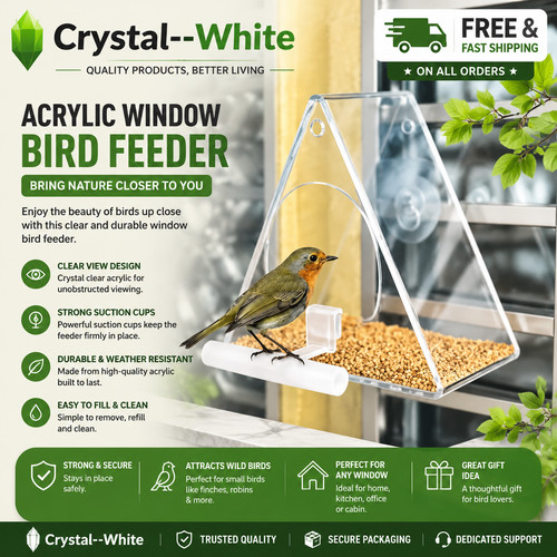 Glass window bird - window,