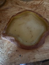 Reptile Water Bowl Tortoise Crested Gecko Accessory Snake Dish