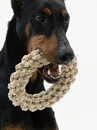 Durable dog rope - dog, chew