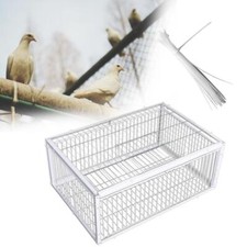 Pigeon trap cage large - pigeon,