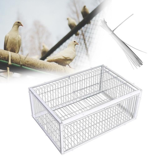 Pigeon trap cage - pigeon, large