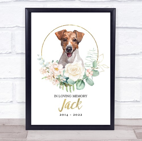 Jack russel dog pet - jack,