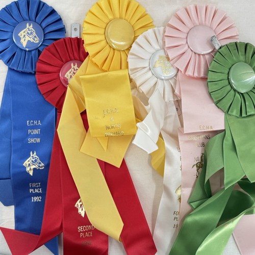 Vtg lot horse show award - lot,