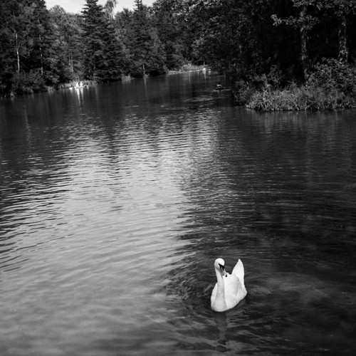 Vintage old 1940 photo - vintage,
