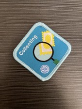 Girlguiding Brownies