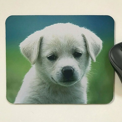 Labrador puppy mouse mat - labrador,