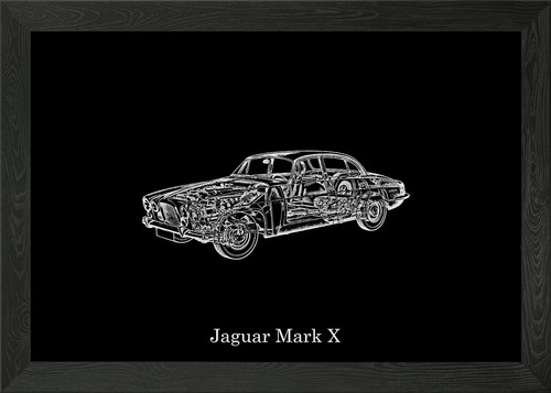 Jaguar mark framed wall art - mark,