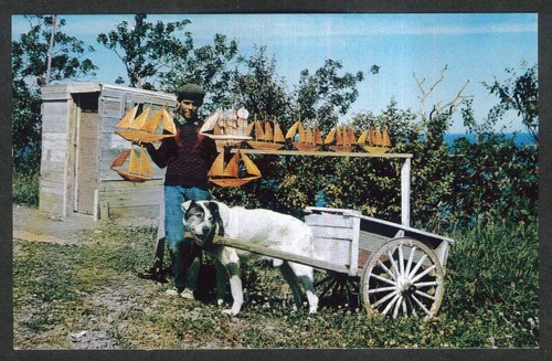 Dog cart wooden boat - dog,