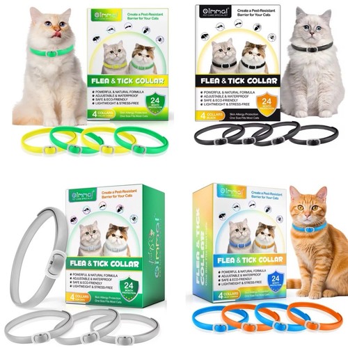 Cat flea tick - flea,