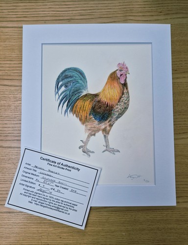 The cockerel limited - the,