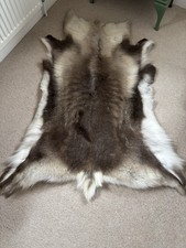 Reindeer Skin Rug