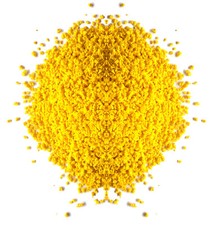 EGG BISCUIT 1kg Canary Food Feed Canaries Canary Budgie etc Egg Crumb 