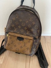 LOUIS VUITTON LV Palm Springs