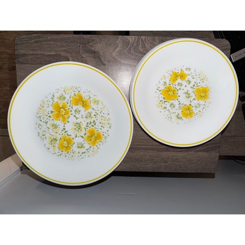 Corelle april showers plates - corelle,