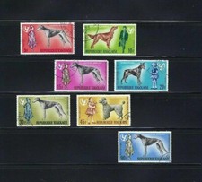 DOGS OF TOGO.-SETTER IRLAND.-