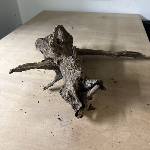 Aquarium wood fish - tank, root
