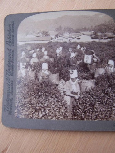 Stereoscope stereo view - stereoscope,