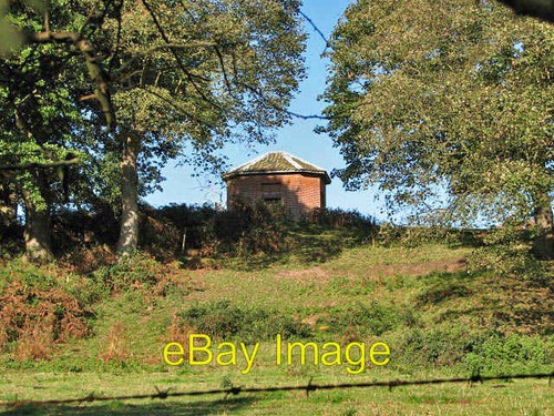 Photo 6x4 octagonal - photo,