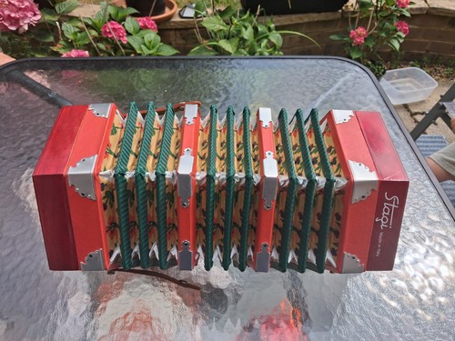 Beautiful stagi accordion - beautiful,