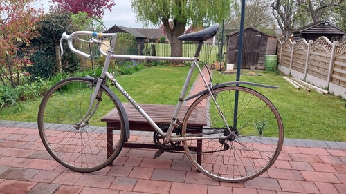 Raleigh men bike - men's, tall