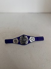 WWE NEW CRUISERWEIGHT