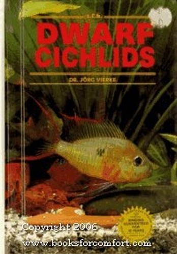 Dwarf cichlids vierke - vierke,, jorg