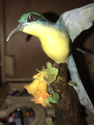 Jones hummingbird - j.t.jones,