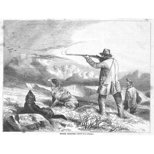 Grouse shooting antique - grouse,