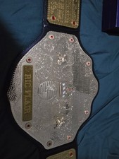 WWE Official Ric Flair Wcw World Heavyweight Championship Replica Belt