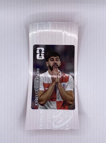 Panini world cup 2026 - panini,
