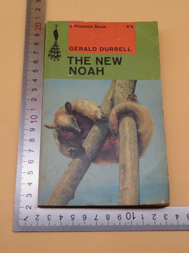 The new noah - new, durrell