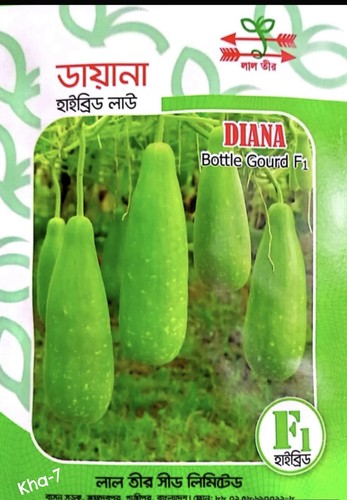 Hybrid diana bottle - hybrid, gourd