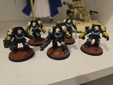 Warhammer 40k Terminator squad Black templars  Pro painted