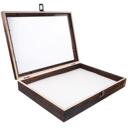 Insect specimen display case - insect,