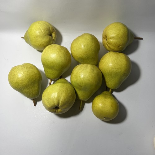 Pears realistic artificial - 9,