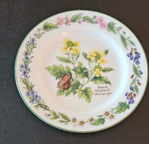 Royal worcester herbs series - herbs,