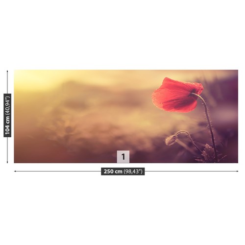 Photo wallpaper wall mural - photo,