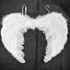 White Feather Angel Wings